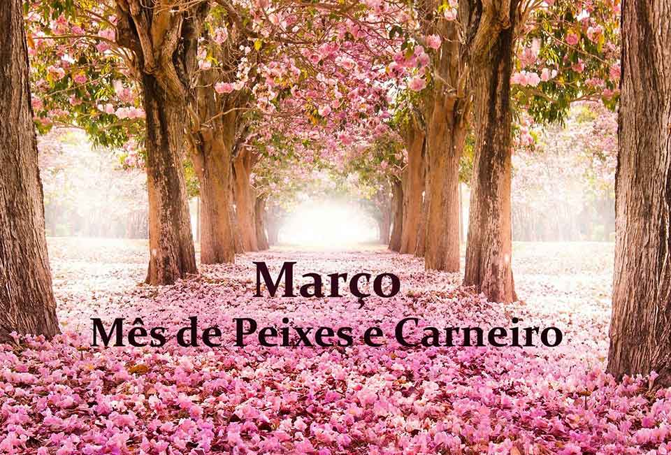 Previsões para Março de 2018